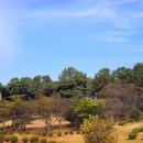 서울대학교 농업생명과학대학 실험목장 이미지