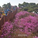 마켓진달래 이미지