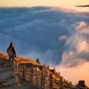 진리무역 이미지