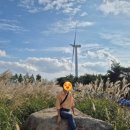 꽃별하얀 | [거창] 가을 축제 '감악산 꽃별여행 - 보랏빛 노을 속으로' 주말 방문 후기, 주차, 기본 축제 정보