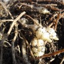 가남정보화마을 이미지