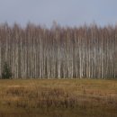 석기시대 이미지