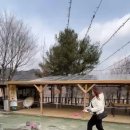 강촌->SBS | 가평 양지촌 엘리시안 강촌 맛집 닭갈비 애견동반식당