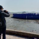 반월도퍼플펜션 이미지