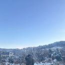 곰발자국 Daum카페