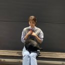 미모고양이 이미지