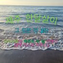 [제주 한달살이 후기 2탄 ] 제주항공권 꿀팁과 제주도 뚜벅이 한달살이 후기 제주도 차량대여 싸게하는...