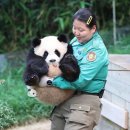 그뤼에르 이미지