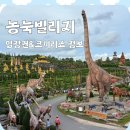 코끼리마트 | 파타야 가족여행 코스 |아이랑 즐기는 농눅빌리지(입장권•코끼리쇼)