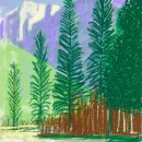 데이비드 호크니 (David Hockney 1937~ ) 이미지