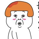 킹코인노래연습장 이미지