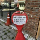 동탄 호수 공원 애견 동반 카페 봄이랑 또 가고 싶은 세이프앤사운드