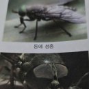 하나방역대구북부지사