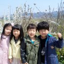 서전주유치원 이미지