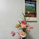 flowerstory | 강릉역 생화전문 꽃집 꽃배달 "꽃이야기"