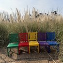 수락운수 | [코칭후기] 백척간두 진일보, 그 이후