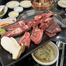 불타는안창살 이미지