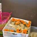 형제조류 | [부산] 동물 힐링, 애니멀숲 내돈내산 솔직후기 주차