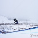 이승훈 카카오 검색결과