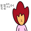 정코다리 이미지