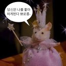 크루즈 승무원의 모든 것