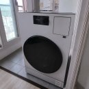 (주)오토가이드 | 삼성 비스포크 AI 콤보 WD80H25BHY 올인원 세탁기 입문 가이드, 분리형 차이 그리고 구매 후기