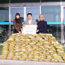 대마2리 이미지