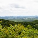 절물생태관리소 (절물자연휴양림) | 🍃 “제주 숲속 힐링 여행지 BEST, 절물자연휴양림”