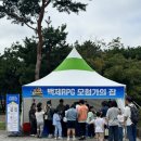 강아지탐험대 | 2025 백제 RPG 사비도성 탐험대 후기