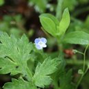 찬우물근린공원 이미지