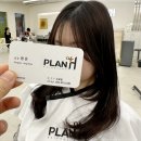 남양주 미용실 플랜에이치 평내점에서 받은 히피펌 솔직후기
