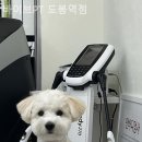 지에스(GS)25 도봉역점 이미지