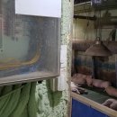 냉수농장 이미지