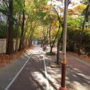 신도중학교 후문 이미지