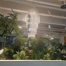 상동프라자약국 | 부천 오선데이 가성비 브런치 맛집