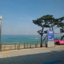 가람연결혼정보 | 묵호 혼여행 후기 | 이슈多 · 고양이多