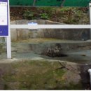 절골약수터 이미지