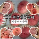 대홍농장 | 맛있는 딱복 품종 대홍 성공 후기 딱딱이 복숭아에 마블링이?