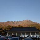 홀산농장 티스토리