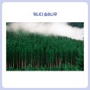 우리사우나 이미지