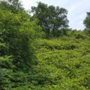 방림행정사 이미지