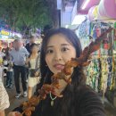 남정빌라 | 중국 샤먼 여행 일정 독박투어4 패키지 바른투어 추천 호텔 위치 날씨