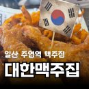 주엽역 2,3번출입구 주변 | 일산 주엽역 맛집 치킨 맛집, 주엽역 치킨 대한맥주집 후기