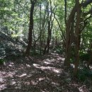 용진정사 이미지