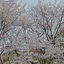 보문산로 이미지