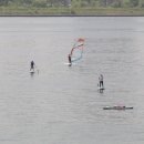 오션서프 이미지