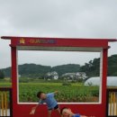 김태희의팜스쿠키 이미지