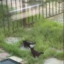 스테이백촌 이미지