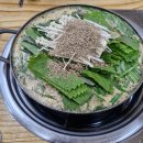 산골염생이 이미지