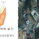 양지식품 이미지